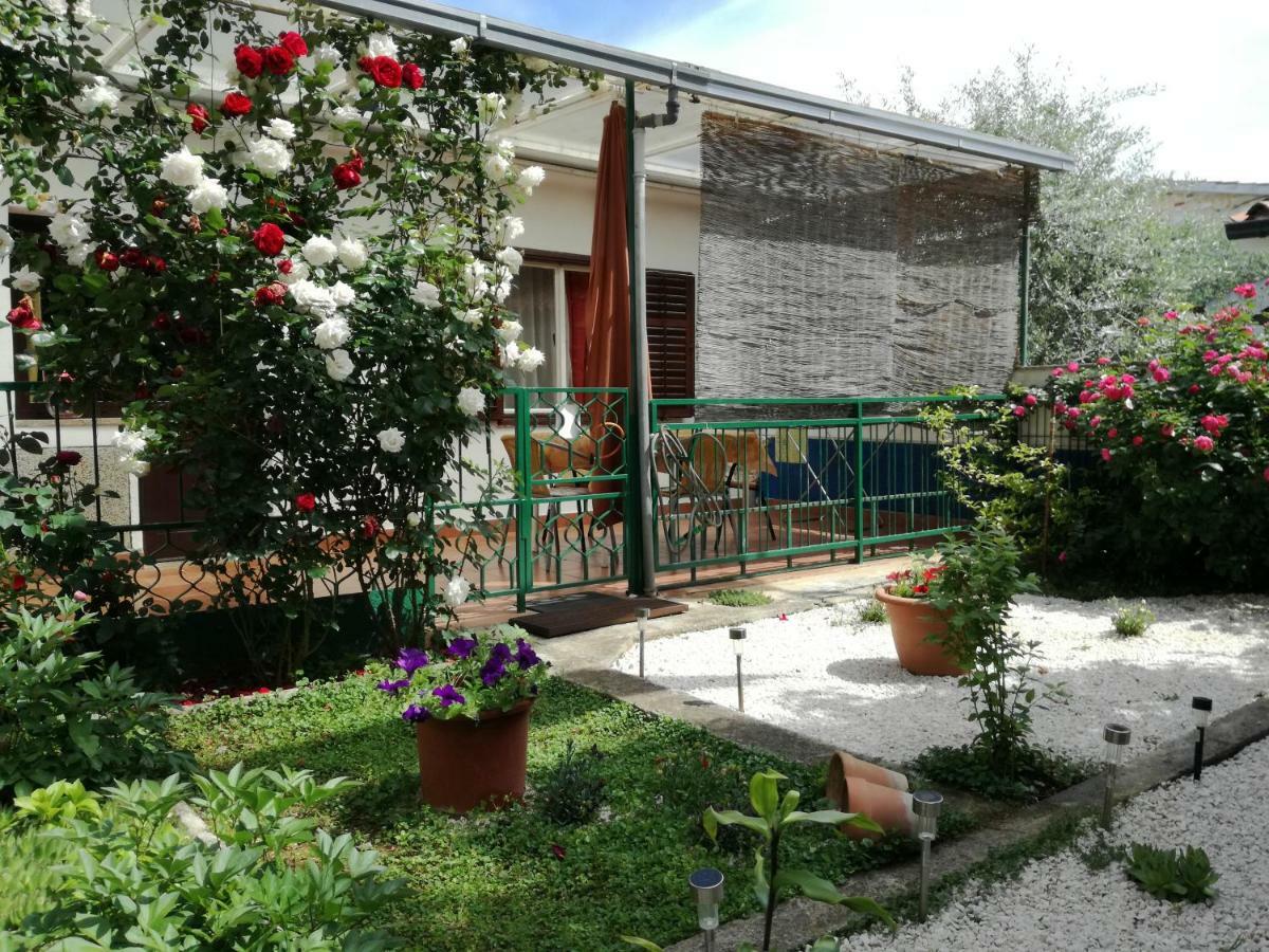 Vile Park Apartments Poreč Zewnętrze zdjęcie